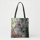 Recherche de koala sacs Faune