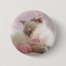 Recherche de pelucheux badges Chaton