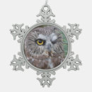 Recherche de hiboux ornements Oiseau