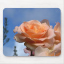 Suche nach pfirsich rosen mousepads Natur