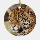Suche nach wildkatzen ornamente Jaguar