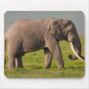 Suche nach grüner elefant mousepads Grau