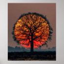 Suche nach einsamer baum poster Natur
