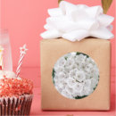 Recherche de lauriers autocollants Beau