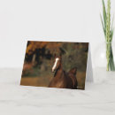 Recherche de cheval de pur sang vœux cartes Race