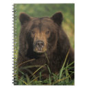 Suche nach braunbär kleine notizbücher Portrait