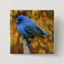 Recherche de oiseaux de jardin badges Faune