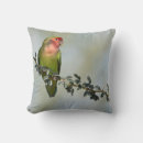 Recherche de inséparables coussins Animal