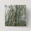 Suche nach regenwald buttons Tag