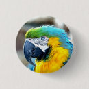 Recherche de perroquet coloré badges Animal