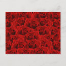 Suche nach romantische rote rosen postkarten Valentinstag