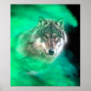 Suche nach wolf spirit poster Grauwolf