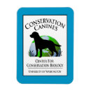 Recherche de canines magnets Recherche