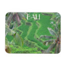Recherche de riz magnets Bali