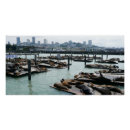 Recherche de otarie posters San francisco