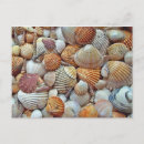 Suche nach schalentiere postkarten Meer