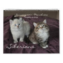 Recherche de 2013 calendriers Chats