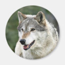 Suche nach hund magnete Wild