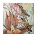 Suche nach tropische fliesen Kolibris