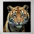 Suche nach süße tiere poster Porträt