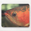 Suche nach tierköpfe mousepads Tiere im wilden