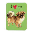 Recherche de espions magnets Chien