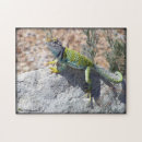 Recherche de lézard puzzles Reptile
