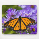 Suche nach monarch mousepads Botanisch