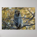 Suche nach für babys poster Safari