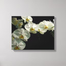 Suche nach orchid leinwandbilder Blume