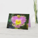 Suche nach cattleya karten Tag der glücklichen mutter