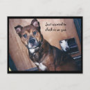 Recherche de vieilles photos de chien cartes postales Drôle