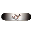 Recherche de dachshund skateboards Animal