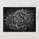 Recherche de précipités posters Photographie