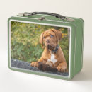 Suche nach hunde brotdosen Für kinder