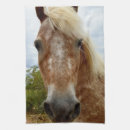 Suche nach braunes pferd geschirr tücher Tier