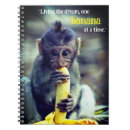 Recherche de singe de bébé carnets Faune