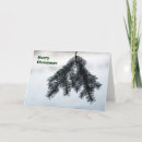 Suche nach kiefer einiges karten Baum