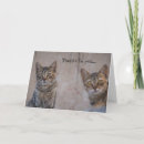 Recherche de communauté vœux cartes Chats