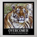 Recherche de attitude posters Animaux