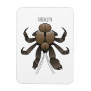 Recherche de crabes magnets Toute personne