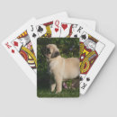 Suche nach puppie Mops
