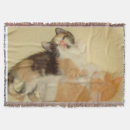 Suche nach meow decken Kätzchen