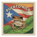 Suche nach boricua poster Flagge