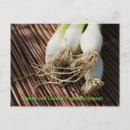 Recherche de crevettes posters Repas