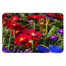 Recherche de de ressort magnets Fleur sauvage