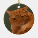 Recherche de tigre ornements Chat tigré