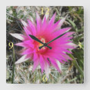 Suche nach kaktusblüte poster Naturfotografie