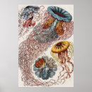 Recherche de illustrations posters Vintage