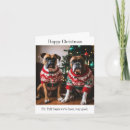 Suche nach boxer hunde karten Weihnachtskarte